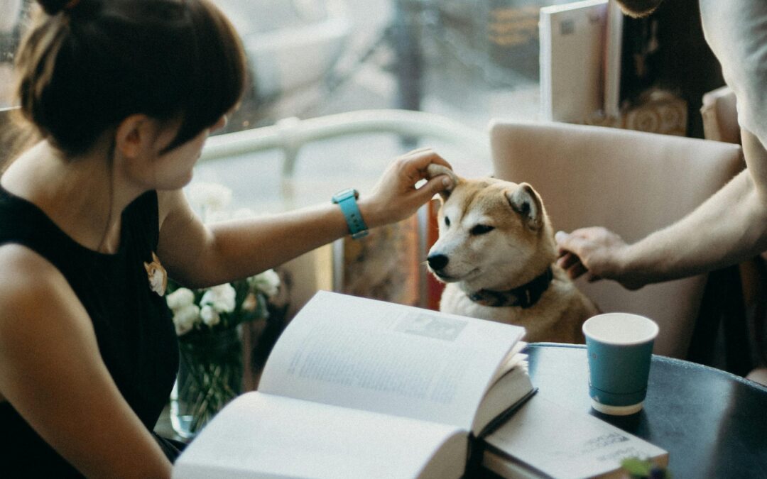 Dónde comer en Soportújar con perros – Restaurante pet friendly Las Cuatro Escobas